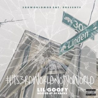 Lil Goofy - #Its3rdworldnotyoworld