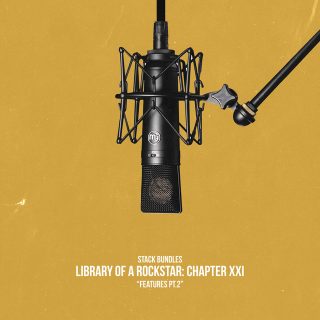 Stack Bundles - Library Of A Rockstar Chapter 21 - Features, Pt. 2