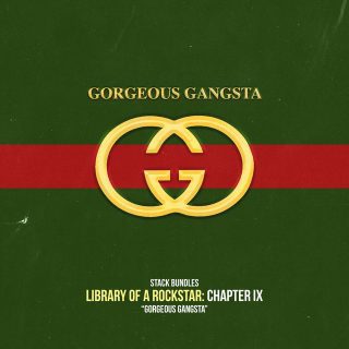Stack Bundles - Library Of A Rockstar Chapter 9 - Gorgeous Gangsta