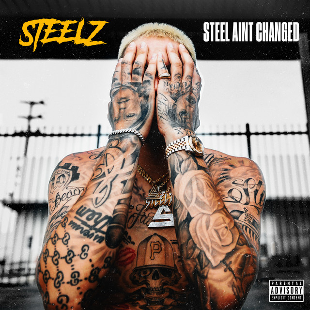 Steelz - Steel Ain't Changed