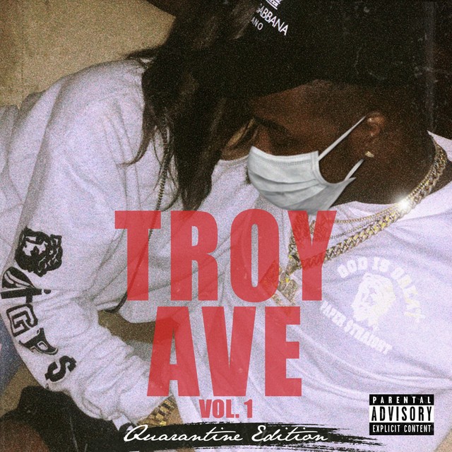 Troy Ave - Troy Ave, Vol. 1